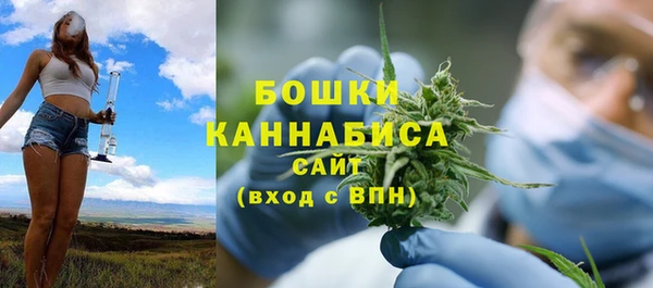 тгк Инта
