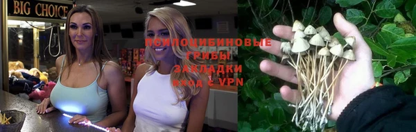 COCAINE Инсар