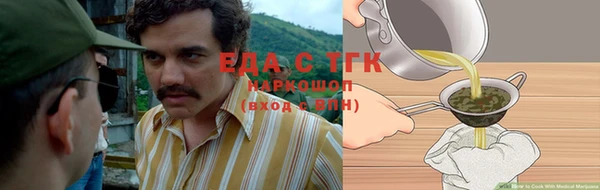 тгк Инта