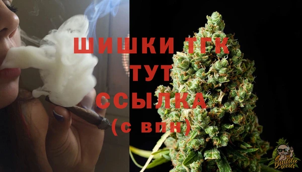 COCAINE Инсар