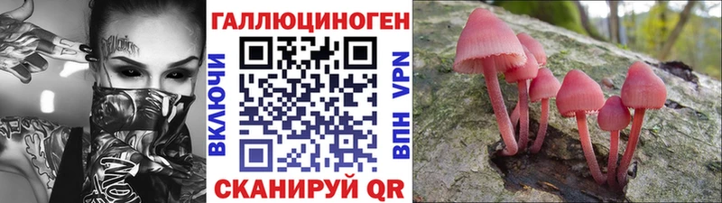 Галлюциногенные грибы Psilocybe  Купить где  Берёзовский 